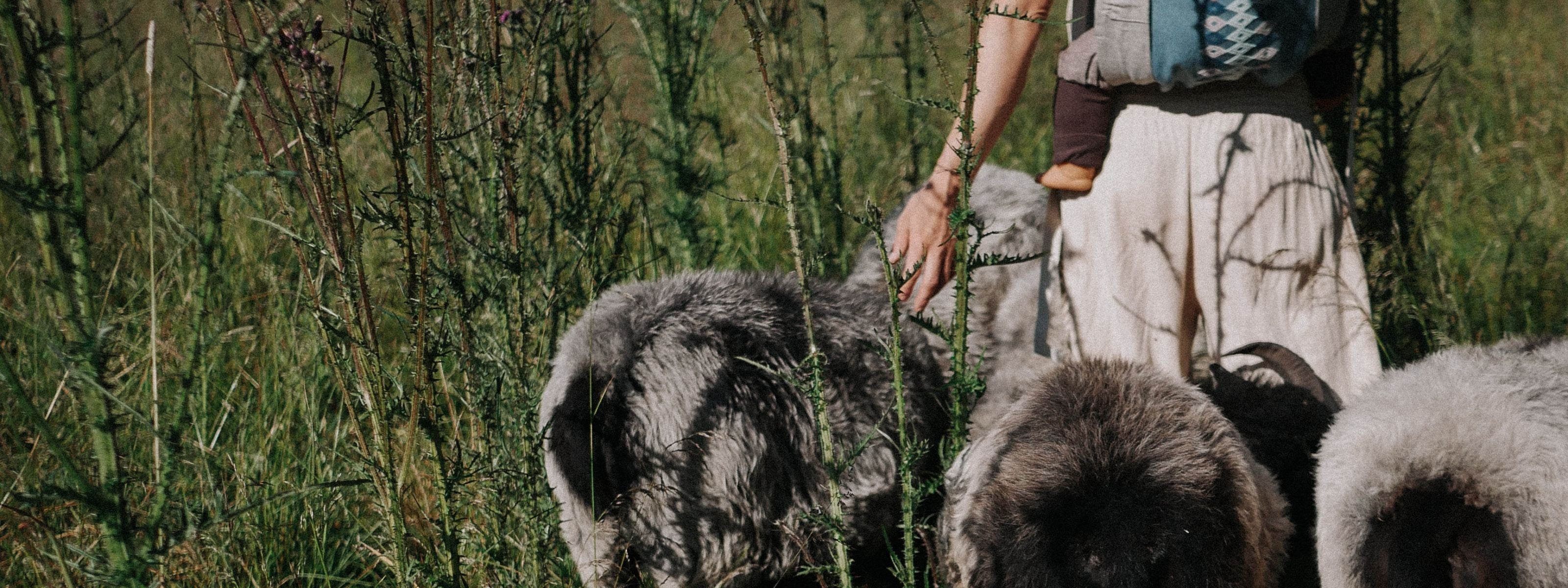 Goodbye NIRMI. Hello The Caring Tribe.